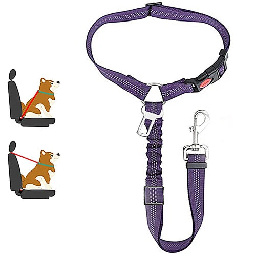 Harnais pour chien