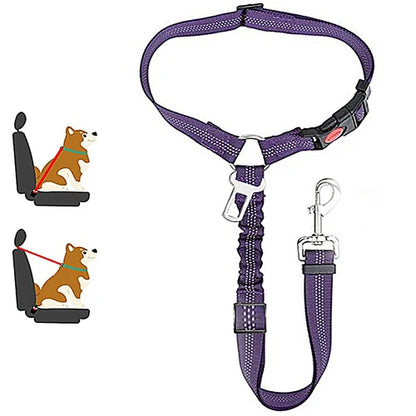 Harnais pour chien
