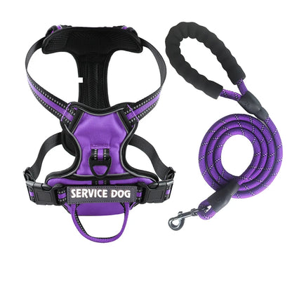 Harnais pour chien