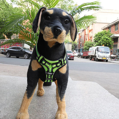 Harnais pour chien