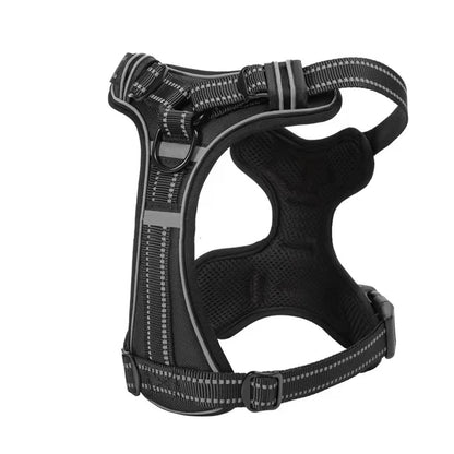 Harnais pour chien