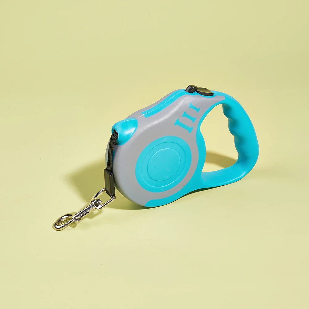 Laisse pour chien