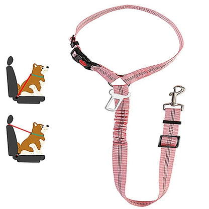 Harnais pour chien