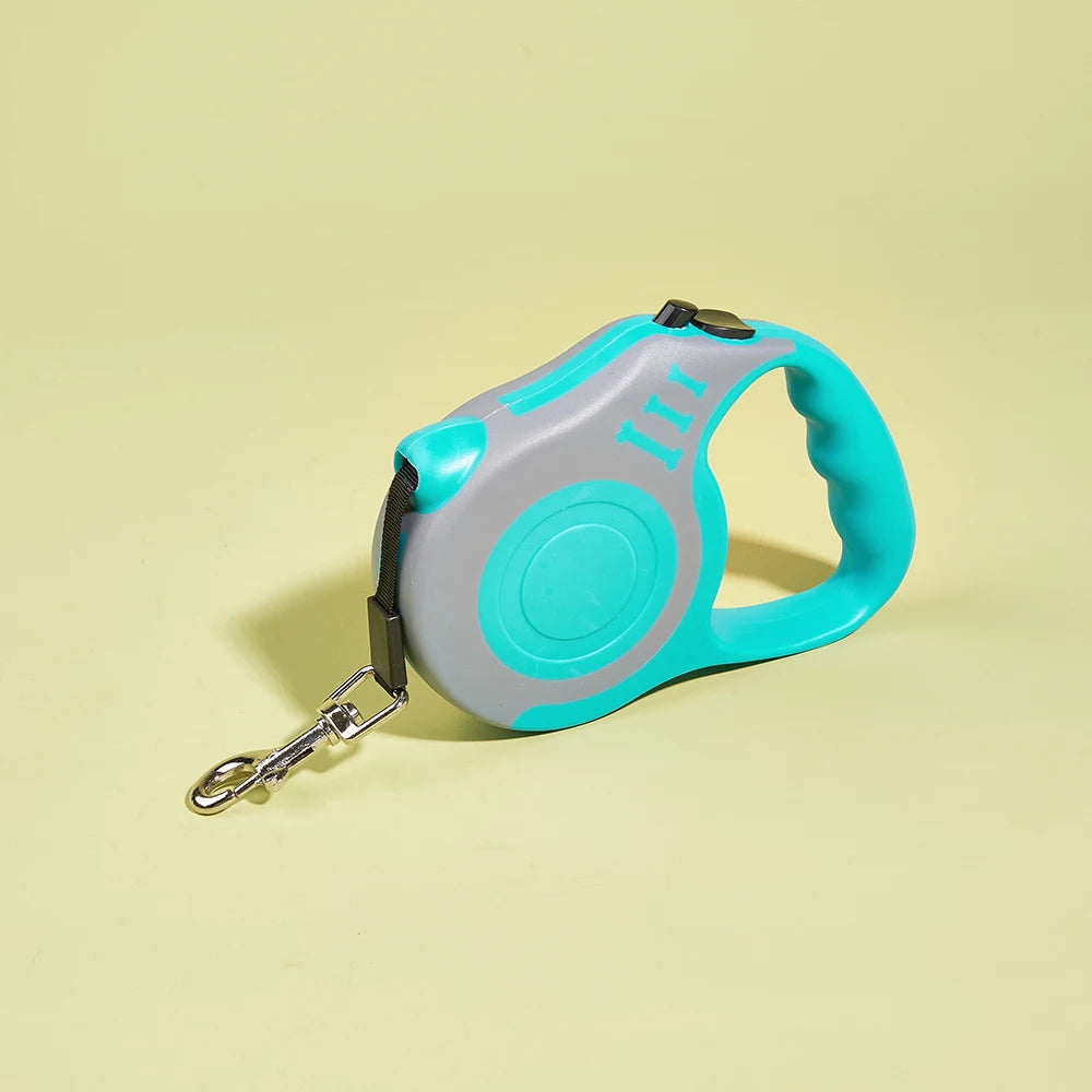 Laisse pour chien