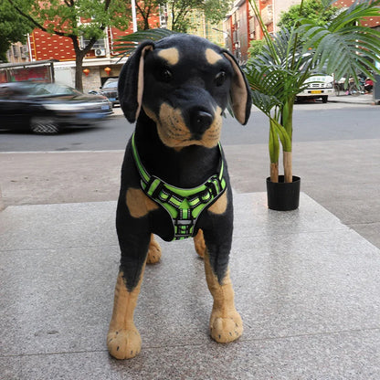 Harnais pour chien