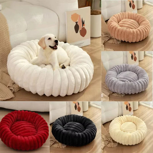 coussin pour chien