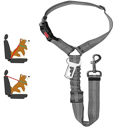Harnais pour chien