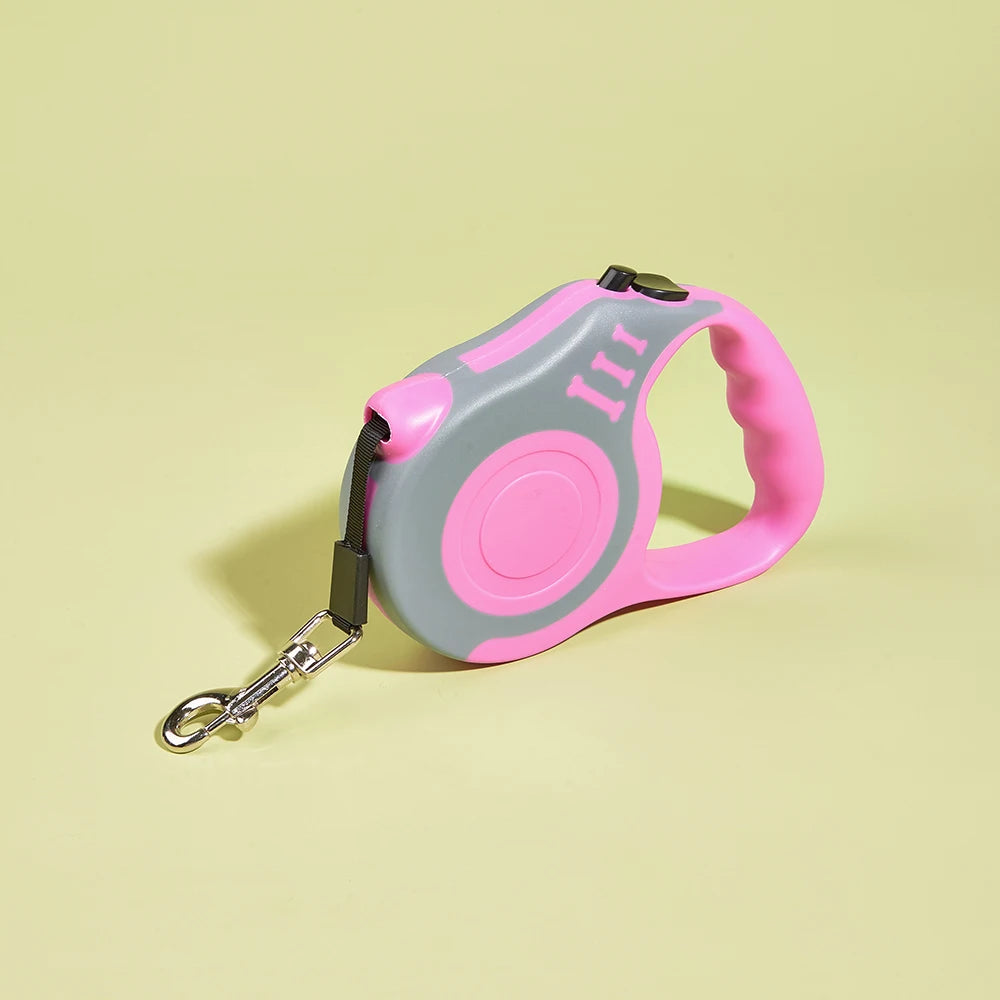 Laisse pour chien