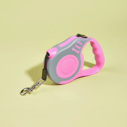 Laisse pour chien