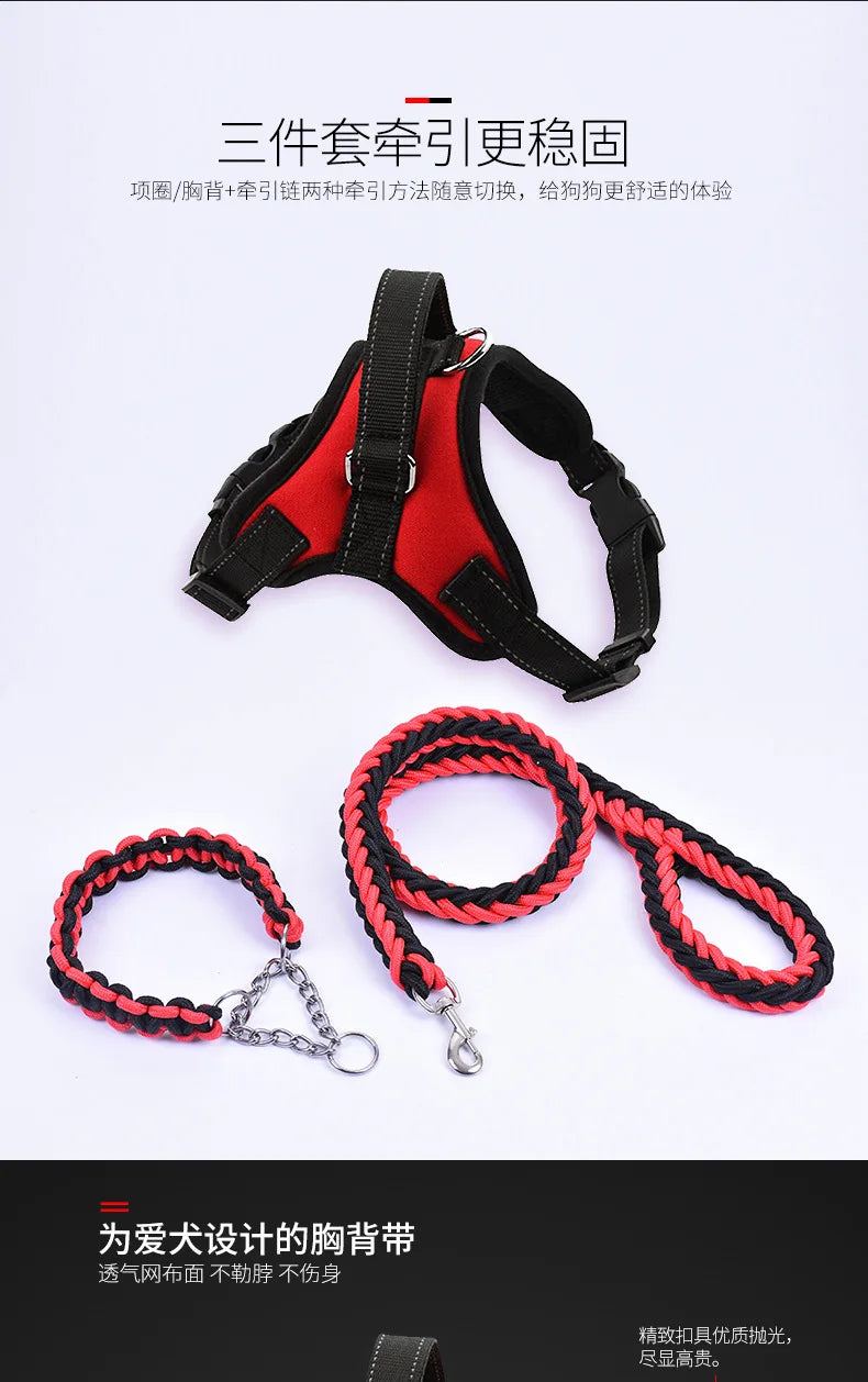 Harnais pour chien