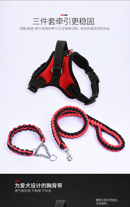 Harnais pour chien