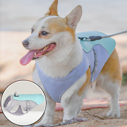 harnais pour chien