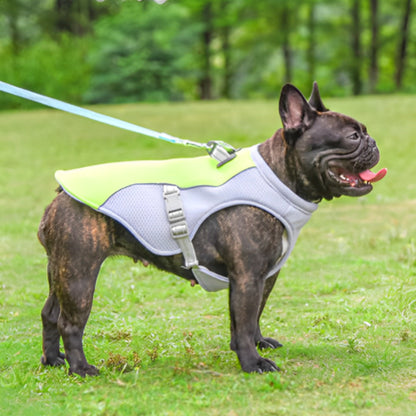 harnais pour chien