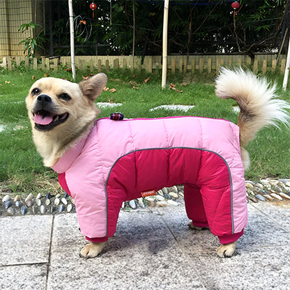 manteau pour chien